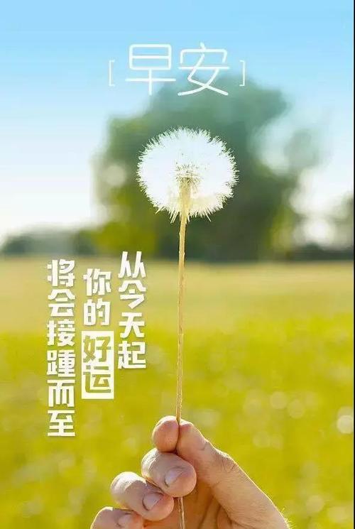 鼓舞人心的情感：如果您想成功，就必须击败另一个自我