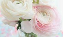 人生两件事：忙着，清醒做事；闲着，糊涂做人