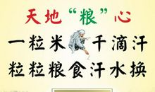 珍惜粮食的名言