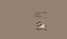 哲理感情伤感名言