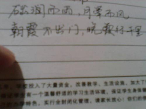 关于风的谚语
