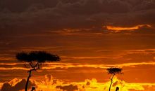 安然无恙怎么造句