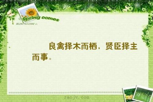 用一句话选主