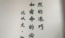 沈从文名言名句