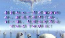 情人节感悟