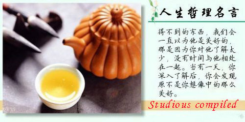 张闻天的名言