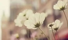 善待他人的例子