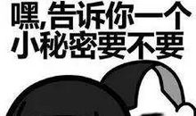 一路惊喜经典台词