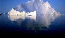 张抗抗：难以缄默