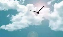 年轻人混日子是没有未来的