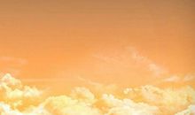 经典语录：唯有行动才能打败一切不安