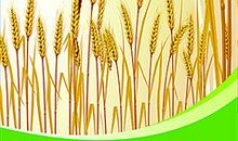 节约粮食宣传标语