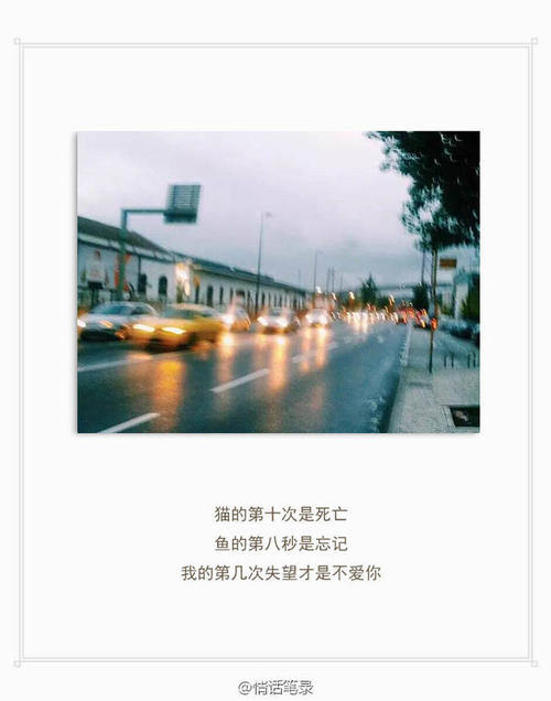 经典语录：忘记时间，记住爱情