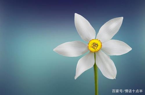 我想用一句话