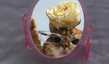 语言精辟的句子