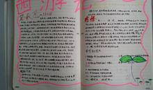 西游记读书心得