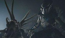 《铁血战士》观后感