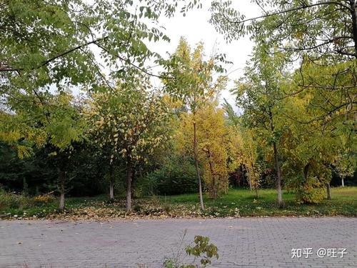 只有在退潮后才知道谁在裸泳