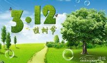 植树节标语口号