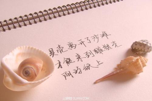 漂亮款