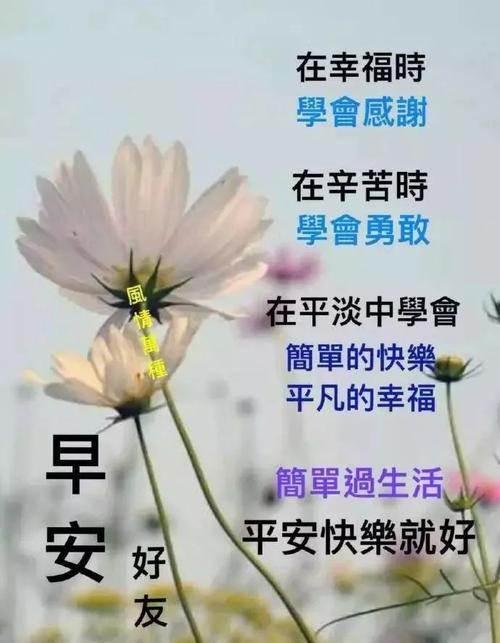 早上问候语