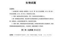 罗密欧与朱丽叶读后感英文版