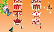 校园文化建设口号