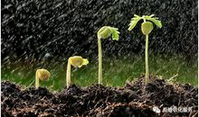 新年成长三要素