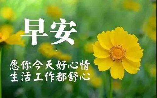 每天都有一点积极的能量：不要让自己的生活和自己失望