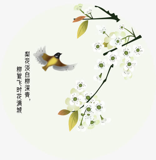 赞美梨花的句子