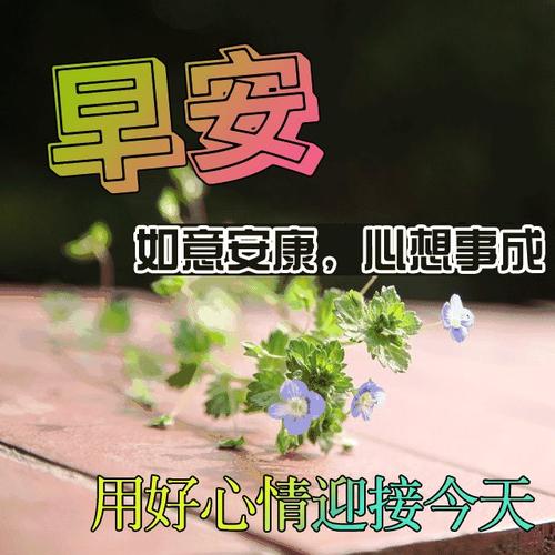 幽默的祝贺