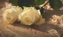 八句话，看清别人，明白自己