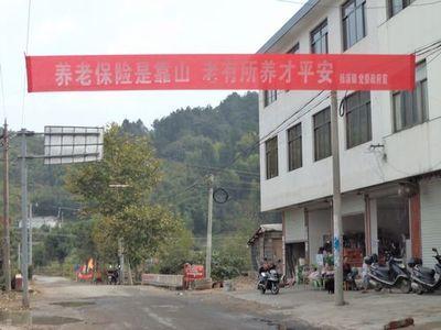 养老保险口号