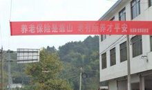 养老保险宣传口号