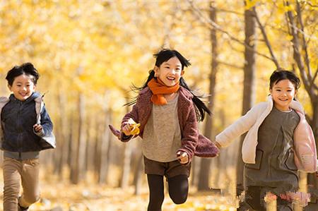 家庭教育：让孩子学会独立