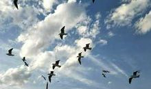 比毒品成瘾更可怕的，是垃圾快乐成瘾