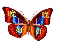 晚上问候