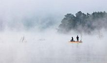 克劳迪安内斯名言