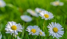 英语作文形容开心的句子大全 表达开心的英语句子