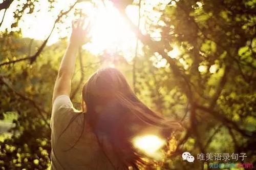 阳光句子