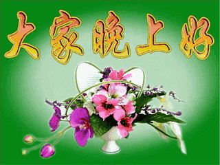 晚上问候