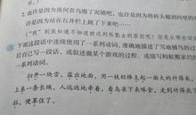 用总分结构写一段话