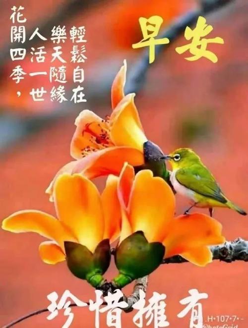 最热烈的问候
