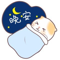 晚安问候