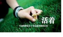 赞美生命的句子