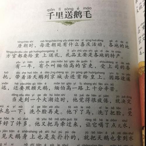 一千里鹅毛