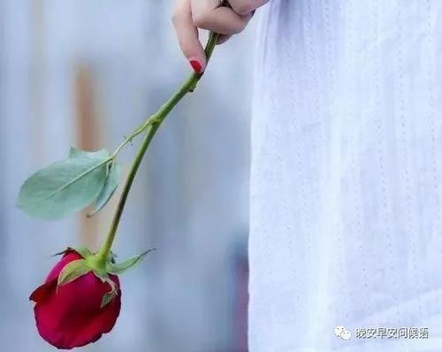 经典语录：一个人的努力永远不会决定两个人之间的关系