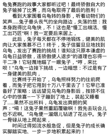 三年级续集：《乌龟与野兔》续集