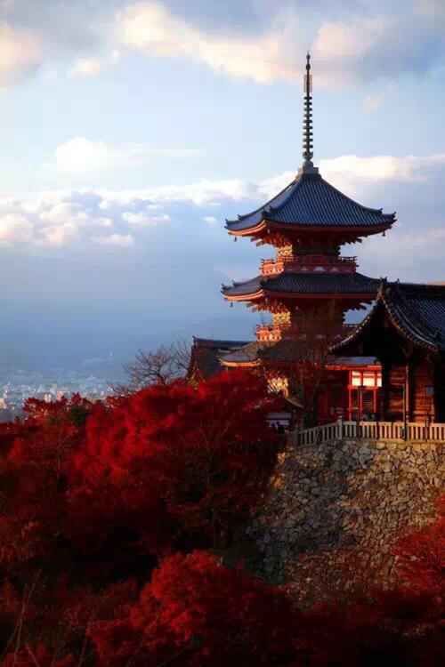 林文悦：京都的花园