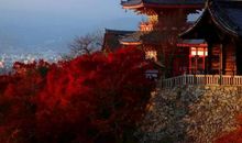 林文月：京都的庭园